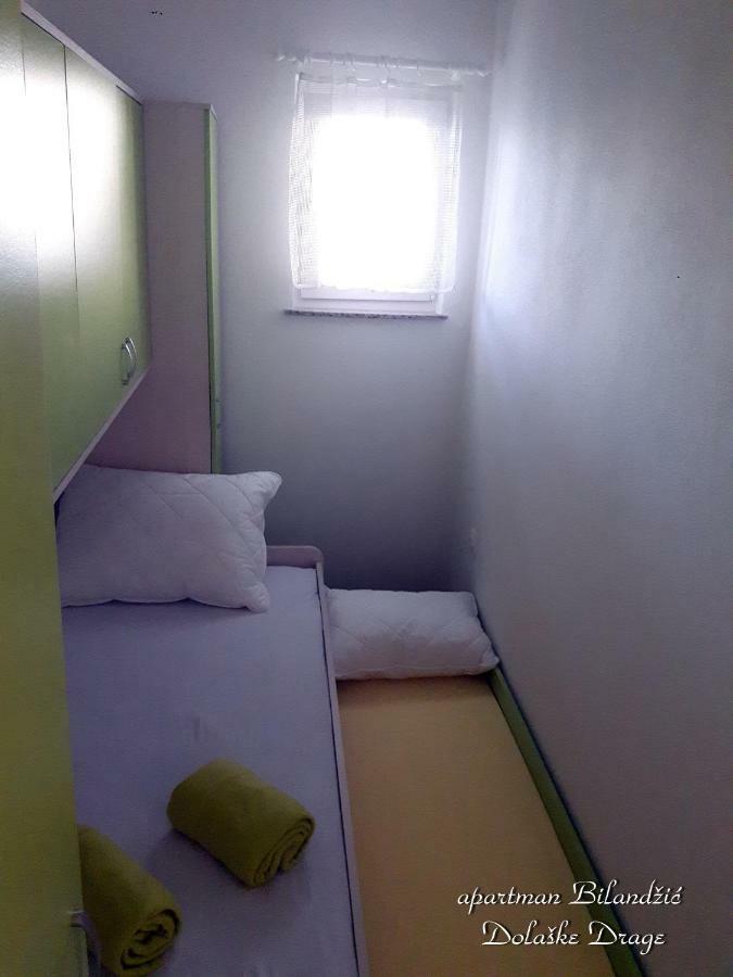 Apartman Bilandzic دراغ المظهر الخارجي الصورة