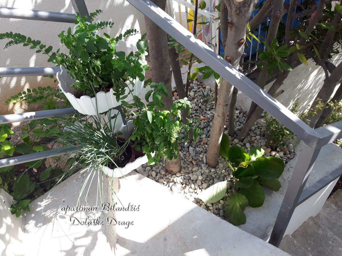 Apartman Bilandzic دراغ المظهر الخارجي الصورة